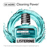 Listerine Cool Mint Antiseptic Mouthwash, Daily Oral Rinse Kills 99% of Germs that Cause Bad Breath, Plaque and Gingivitis for a Fresher, Cleaner Mou