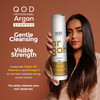 QoD PRO Argan Hair Shampoo, for Dry, Damaged, Frizzy & Dull Hair, Promotes Shine and Softness, Organic Formula with Argan Oil, 10 oz (300 ml)
