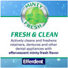 Efferdent Plus Mint Anti-Bacterial Denture Cleanser | 90 Tablets