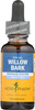 Herb Pharm Willow Bark Liquid Extract for Minor Pain - 1 Ounce (DWILL01)