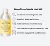 Yoga Way of Life Amla Hair Oil - Organic Indian Gooseberry Herbal Oil | Nourishes Hair and Scalp | Ayurvedic Recipe | 2 FL OZ (Sample)