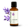 Plant Therapy Lavender Essential Oil 100% Pure, Undiluted, Natural Aromatherapy, Therapeutic Grade 30 mL (1 oz)