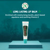 Vermont's Original Bag Balm Fragrance Free Lip Balm with Vitamin E | Pack of 4 0.3oz Tubes
