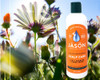 Jason Shampoo Cndtnr Dandruff