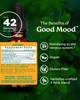 Herb Pharm Good Mood Liquid Herbal Formula with St. John's Wort for Healthy Emotional Balance - 1 Ounce