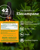 Herb Pharm Certified Organic Elecampane Liquid Extract for Respiratory System Support - 1 Ounce (DELECA01)