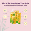 Lily Of The Desert Gelly Moisturizer - 99% Organic Aloe Vera Gel for Skin, After Sun Care with Aloe, Vitamin E Oil, and Vitamin C for Sunburn Relief,