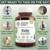 Natural Nutra Kelp Iodine with Potassium Iodide - Thyroid Support Supplement - Immune Strength & Metabolism Balance - Vegan Sea Kelp for Wellness - 2