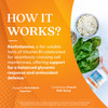 Doctor's Best Benfotiamine 300 with BenfoPure, Helps Maintain Healthy Glucose Metabolism, Non-GMO, Vegan, Gluten Free, Soy Free, 300 mg, 60 Veggie Ca