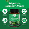 Wild Oregano Oil Softgels - Super Concentrated Softgels Oil of Oregano with Carvacrol 70% for Digestion & Immune Support - Herbal Supplements for Int