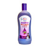 Amla and Shikkai With Reetha Shampoo 1000 Milliliter - Ayur
