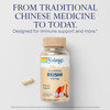 SOLARAY Reishi Mushroom 600mg - Reishi Mushroom Capsules for Immune Support - Vegan, Lab Verified - 60-Day Money-Back Guarantee - 100 Servings, 100 V