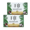 "Coco Fiji Soap Bar for Face and Body Infused With Organic Coconut Oil, Pineapple Coconut Essential Oil, Natural Soap for Moisturizing & Pore Purifyi