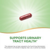 Nature's Way Premium Blend Cranberry, Urinary Tract Health Support*, with 100% Cranberry Concentrate, 400 mg Per Serving, 120 Capsules (Packaging May