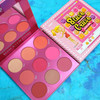 Blush Crush 9 Color Blush Palette - Match Three by Rude Cosmetics for Women - 0.67 oz Blush