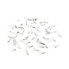 Premade Fans Eyelashes Loose Lashes Premade 7D Fan/C-Curl/Thickness 0.07 mm/Eyelash Extension Volume Lash Fans (1000Fans, 13)