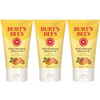 Burt's Bees Deep Cleansing Pore Scrub with Peach and Willow Bark, 4 Ounces, Pack of 3