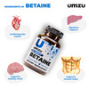 UMZU Betaine HCl Digestive Support Supplement, (60 Day Supply)  with Betaine Hydrochloride Formula  Betaine HCl for Digestive Health & Gut Comfort