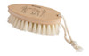 Redecker Tampico Fiber Dry Massage Brush with Untreated Beechwood Handle, 5-1/2-Inches