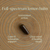 New Chapter Lemon Balm Force with Supercritical Lemon Balm for Mood Support + Immune Support + Non-GMO Ingredients - 30 ct Vegetarian Capsules