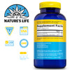 Natures Life Renewing Magnesium 500 mg - Magnesium Citrate, Magnesium Malate, Magnesium Oxide Plus Vitamin B-6 - Muscles and Nerves Support - Lab Ve