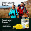 BIO KRAUTER Mullein Drops for Lungs 4 Fl. Oz - 56 Days of Supply - Pure Mullein Leaf Extract for Lung Detox & Cleanse - Vegan Respiratory Supplements