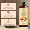 Handcraft Blends Sweet Almond Oil | 100% Pure and Natural | Bath & Body Oil | Premium Grade Carrier Oil | Skin | Hair | Body | Massage | Hexane-Free