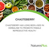 NaturesPlus Herbal Actives Chasteberry - 60 Capsules - Supports Menstrual Well-Being and Reproductive Health - Vegan, Gluten Free - 60 Servings
