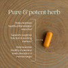 New Chapter Turmeric Supplement, One Daily, Heart, Brain & Healthy Inflammation Support, Supercritical Turmeric Curcumin Means No Black Pepper Needed