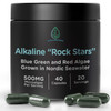 Alkaline Rock Stars Blue Green & Red Algae Supplement - 500mg | Pure Marine Phytoplankton Plus Astaxanthin | Rich in Antioxidants, Chlorophyll, & Veg