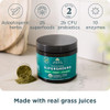 Ancient Nutrition Organic SuperGreens Powder with Probiotics, Organic Greens Flavor Greens, Made from Real Fruits, Vegetables and Herbs, Digestive an
