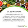 NaturesPlus Herbal Actives St John's Wort, Extended Release - 60 Tablets - Non-GMO, Vegetarian, Gluten Free - 60 Servings
