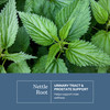 Eclectic Herb - Nettle Root Capsules | Prostate, Urinary Tract, and Male Health Support | Vegan, Non-GMO, Gluten Free, Freeze-Dried (90 CT | 250 mg)