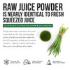 Organic Barley Grass Juice Powder - Grown in Volcanic Soil of Utah - Raw & BioActive Form, Cold-Pressed then CO2 Dried  Gluten Free, GMO free, Vegan