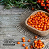 Natura Siberica Oblepikha Active Organic Sea Buckthorn Shampoo for Normal and Dry Hair 400 Ml (Natura Siberica)