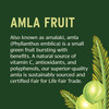 Banyan Botanicals Organic Amla Tablets - Natural Vitamin C for Collagen Support & Immune Health - Amalaki Indian Gooseberry for Glowing Skin, Hair &