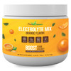 Electrolyte Powder - Refreshing Workout Recovery Electrolytes, Sugar Free, Gluten Free & Vegan, Pure Keto & Paleo Hydration Beverage, Immune Boosting