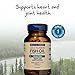 Wiley's Finest Wild Alaskan Fish Oil Peak EPA - Triple Strength Peak EPA & DHA Supplement - 1000mg Fish Oil - Omega-3s for Joint Health Support - 60