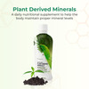 Youngevity Plant Derived Minerals Multi-Mineral Complex | Made from Humic Shale | Liquid Colloidal Form | 32 Servings (32 Fluid Oz (Pack of 1))