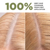 Lazartigue La Couleur Absolue, Permanent Hair Color with Botanical Extracts, Golden Dark Blond, Coloring Kit, Vegan, Cruelty-Free, Ammonia-Free