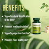 Banyan Botanicals Organic Blood CleanseClear Skin Supplement with Neem & ManjisthaNatural Liver Detox & Lymphatic DrainageInternal Skin Purifier &