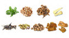 Dragon Herbs - Golden Voice Capsules - 100 Capsules, 500 mg Each