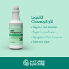 Nature's Sunshine Liquid Chlorophyll Extra Strength - Immunity Support, Detox & Cleanse, Chlorophyll Liquid Drops with Spearmint Oil, Natural Energy