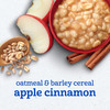 Gerber Oatmeal and Barley Apple Cinnamon Cereal, Toddler Oatmeal, Iron, Whole Grains, 8PK