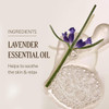 L'OCCITANE Lavender Body Lotion Enriched with Relaxing Lavender Essential Oil and Shea Butter 8.40 fl oz