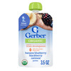 Gerber Organic Baby Food Pouches, 2nd Foods for Sitter, WonderFoods, Banana Blueberry Blackberry Oatmeal, 3.5 Ounce (Pack of 12)