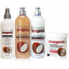Toque Magico Emergencia Set 4 pack Coconut Shampoo, Rinse, Treatment, Leave-In