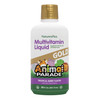 NaturesPlus Animal Parade Source of Life Gold Children's Liquid Multivitamin, 30 OZ - Natural Tropical Berry Flavor - Immune Support Supplement - Org