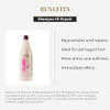 SALERM - Repairing Shampoo - Hi Repair Shampoo - 1000 ml - Deep Hydration for Damaged Hair - Repairs and Rejuvenates - Shinier and Softer Hair - Imme