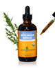 Herb Pharm Certified Organic Artemisia Annua (Sweet Annie) Liquid Extract - 4 Ounce